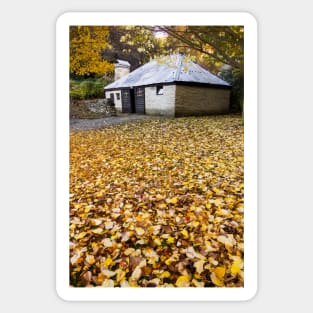 Autumn in Arrowtown, New Zealand Sticker